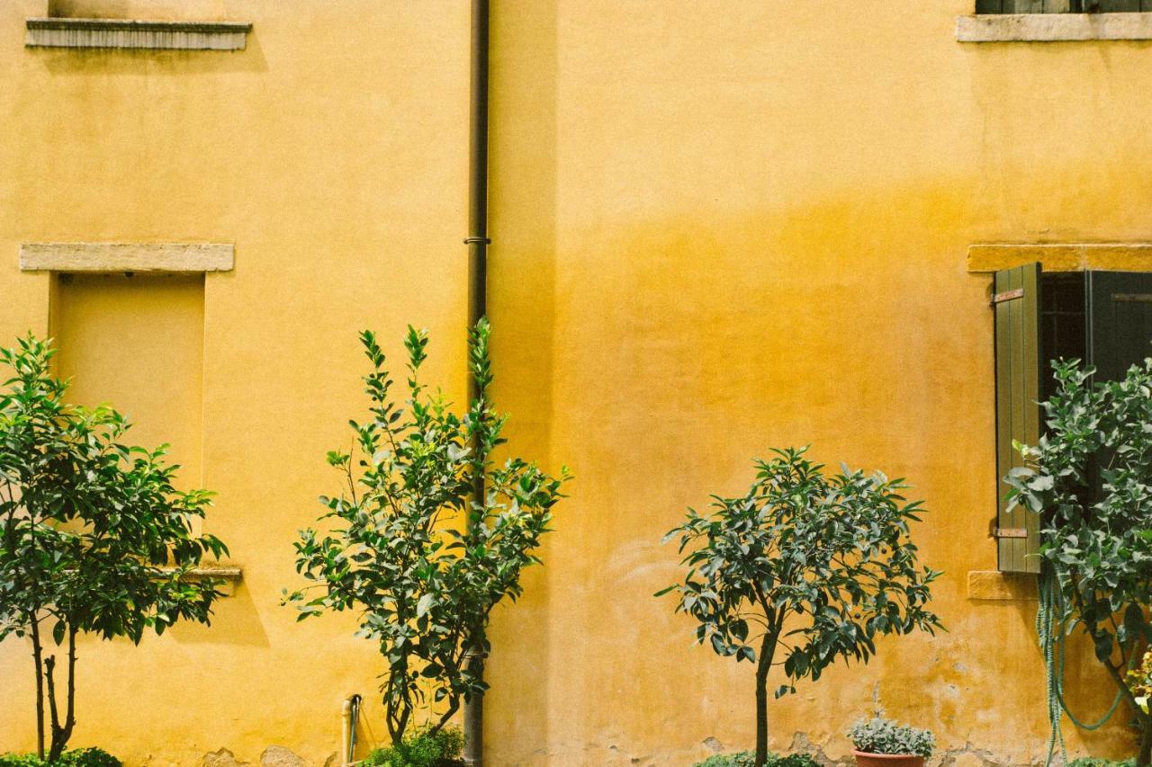 Villa Fava Montagnana  Exteriör bild
